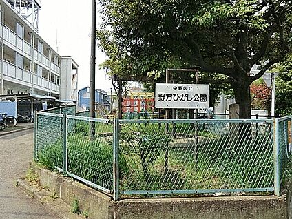 野方ひがし公園 522m