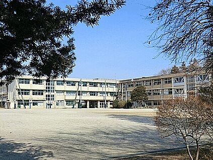 松戸市立高木小学校 1033m