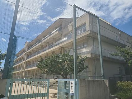 神戸市立灘小学校 266m