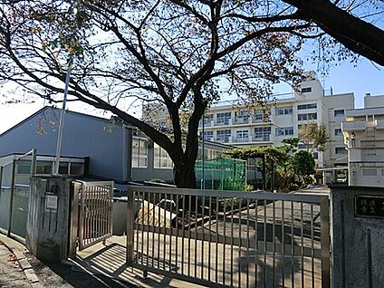 横浜市立篠原小学校 534m