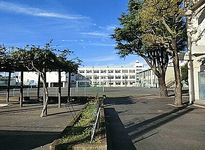 横浜市立南瀬谷小学校 745m
