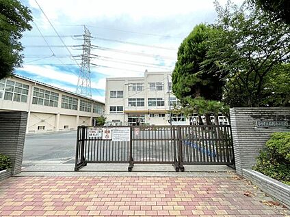 市川市立南新浜小学校 549m