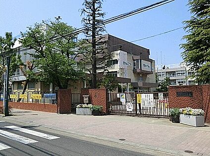 川口市立並木小学校 124m