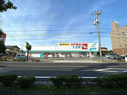 スギ薬局 富士見店 484m