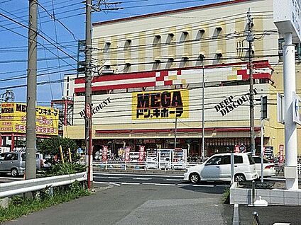 MEGAドン・キホーテ柏店 1209m