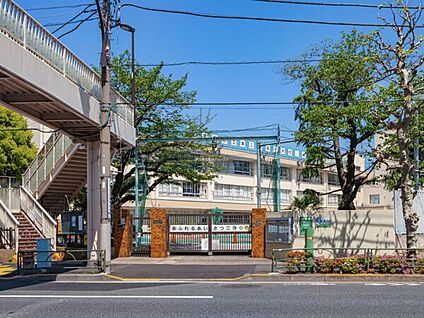 墨田区立第三寺島小学校 413m