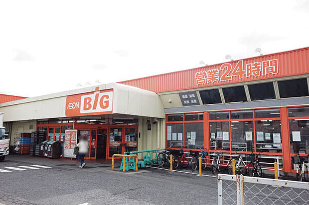 ザ・ビッグ南福岡店（約700m）
