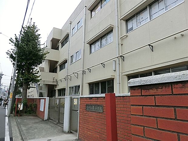 横浜市立南小学校（約302m）