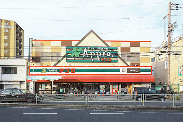 食品館アプロ大池橋店(約808m)