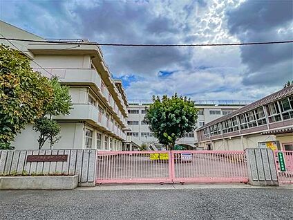 さいたま市立岸町小学校 239m
