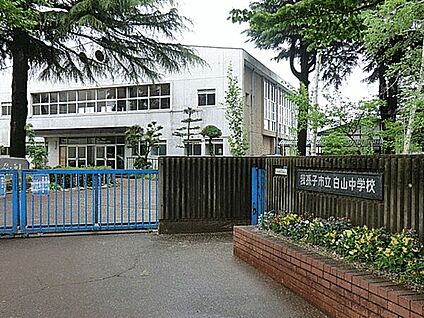 我孫子市立白山中学校 1067m