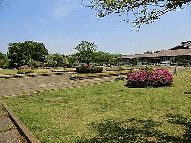 松戸運動公園(約264m)