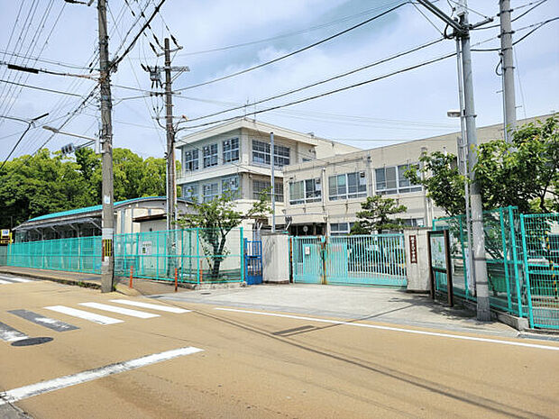 蔵前町ちびっこ老人憩いの広場(約1,050m)