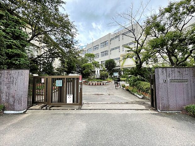 市川市立新浜小学校(約877m)