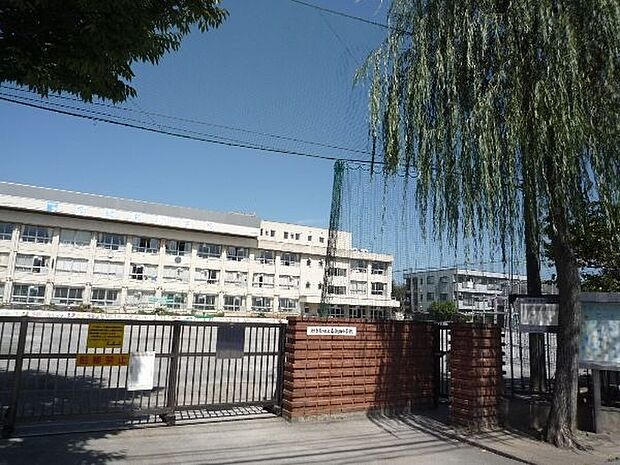葛飾区立南綾瀬小学校(約292m)