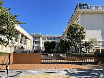 葛飾区立新小岩学園新小岩中学校 199m