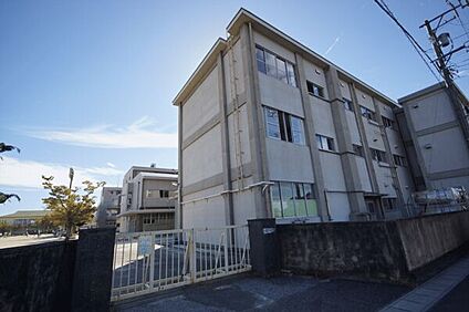 一宮市立木曽川中学校 729m