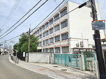 堺市立五箇荘小学校 559m