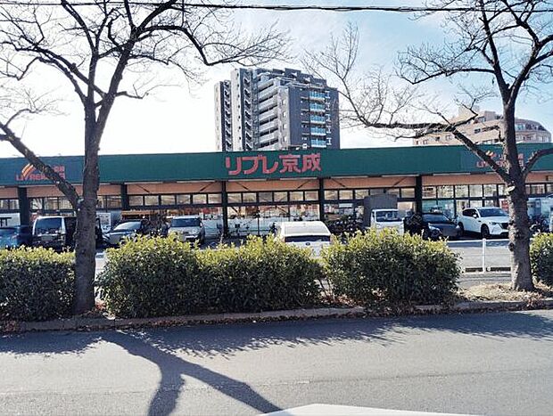 リブレ京成 新柴又店(約403m)