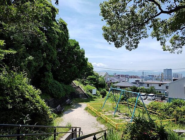 向の山公園(約316m)