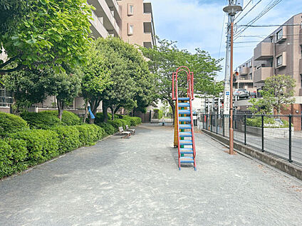 下小田中つばき公園 716m