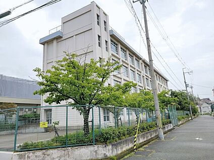 尼崎市立武庫庄小学校 952m