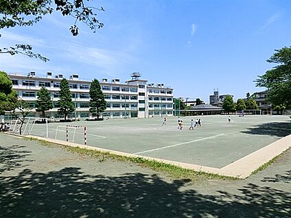 板橋明星幼稚園 352m