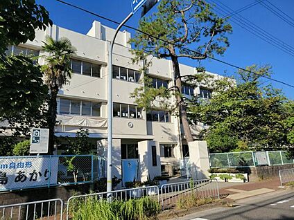 西宮市立鳴尾小学校 994m
