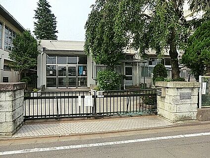 練馬区立泉新小学校 495m