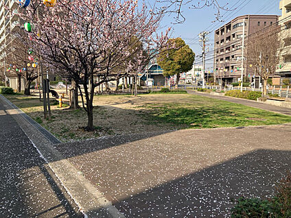 姫島浜公園 773m