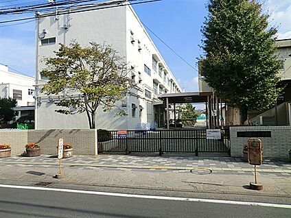 横浜市立戸塚小学校 515m