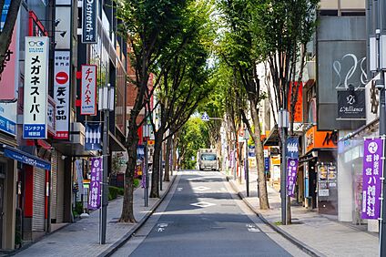 神楽坂通り 790ｍ(徒歩10分)