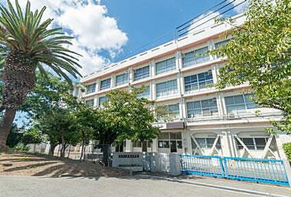 市立衣川中学校 約910m(徒歩12分)