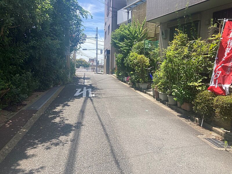 現地７月撮影　前面道路