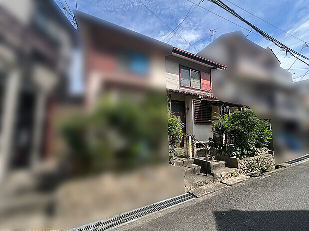 2026年7月撮影