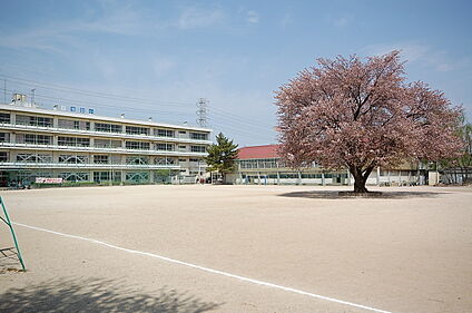 新座市立池田小学校 160ｍ(徒歩2分)