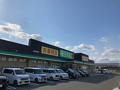 杏林堂小松店 430m(車約1分 )