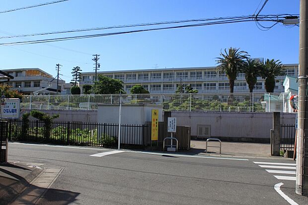 第一小学校(約2m)