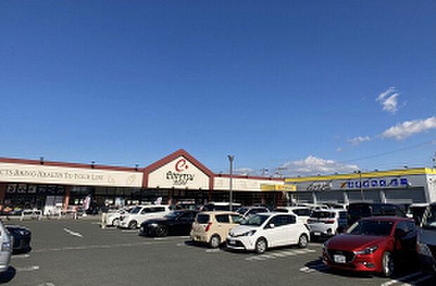 遠鉄ストア池田店（約260m）