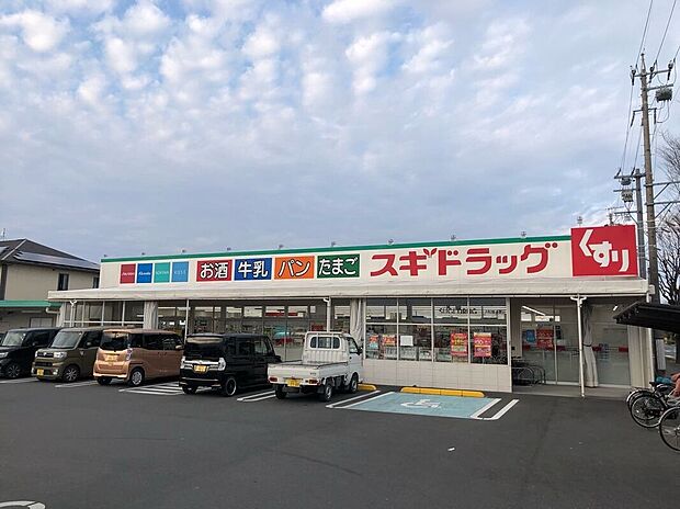 スギドラッグ浜松横須賀店（約730m）