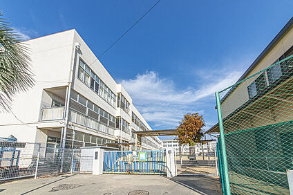 千鳥が丘小学校 190～300m(徒歩３～４分)