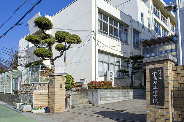 千鳥が丘小学校