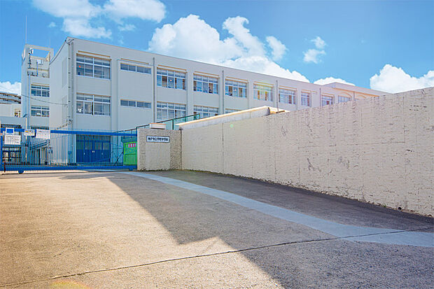 平野中学校(約350m)