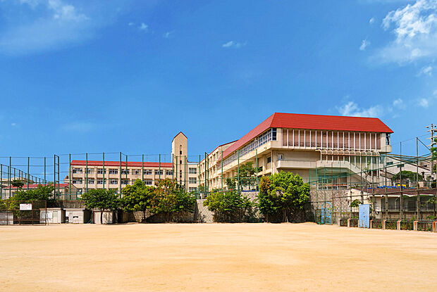 東須磨小学校（約400m）