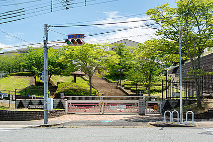 桂木小学校 約470ｍ(徒歩６分)