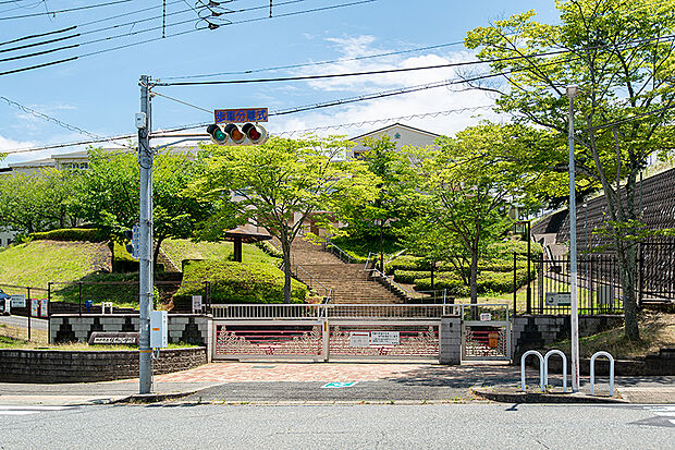 桂木小学校