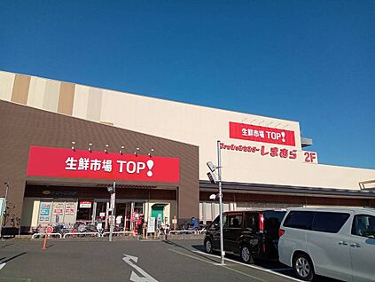 生鮮TOP船橋日大前店 596m(徒歩8分)