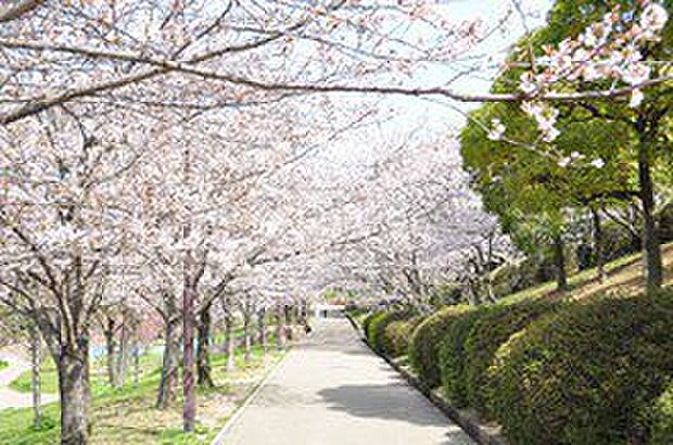 浜寺公園（約1,020m）