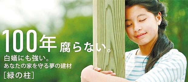 【100年腐らない緑の柱】木材に特殊加工を施した「緑の柱」を採用し、半永久的に新築時の耐久性を維持。大地震による倒壊要因となるシロアリや腐敗の心配がなく、メンテナンス費用を抑えながらお子様の代まで住み継げる家です。