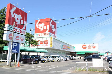 スーパー三心 三条店 約700m(徒歩約9分　自転車約3分)